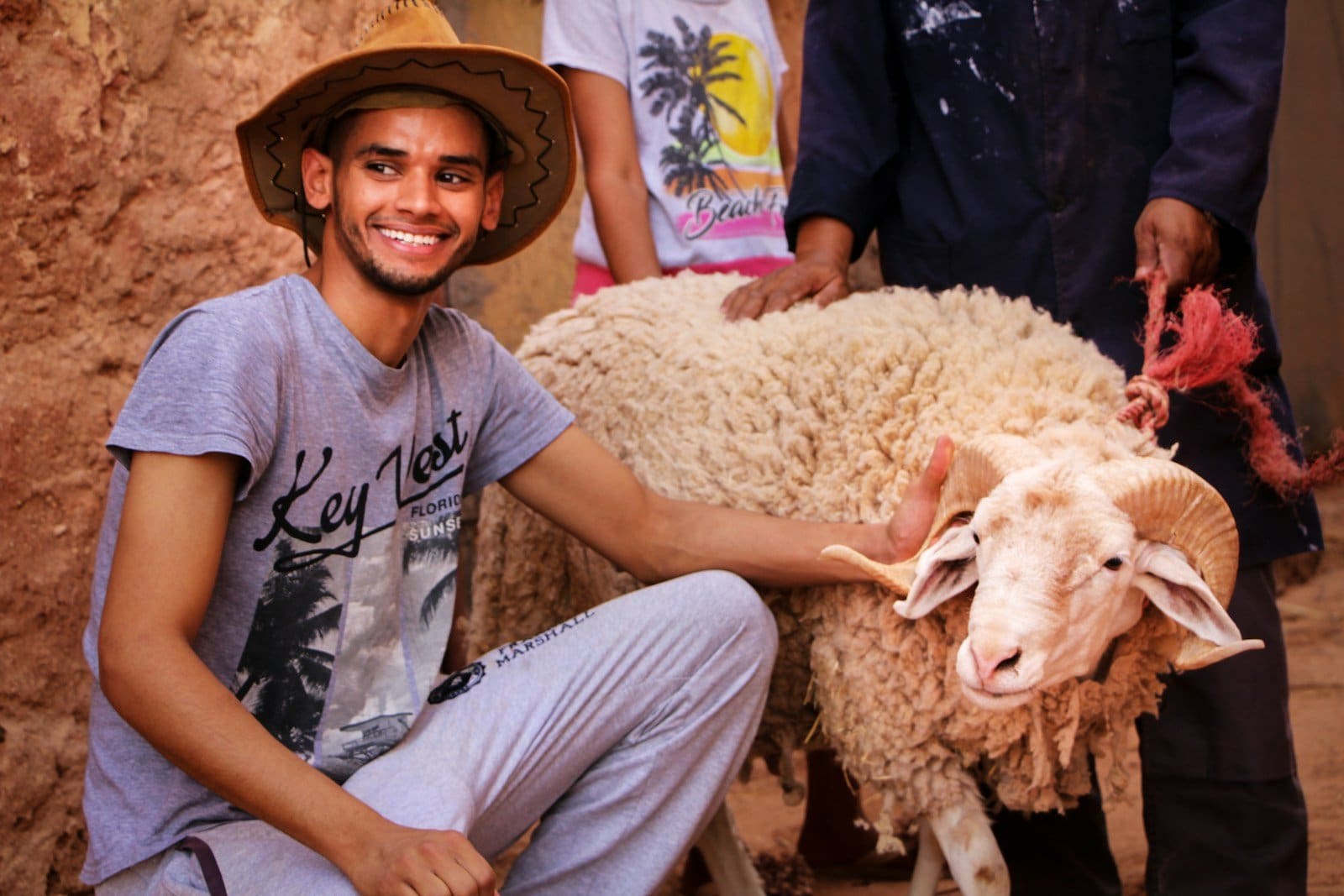 a person holding a sheep